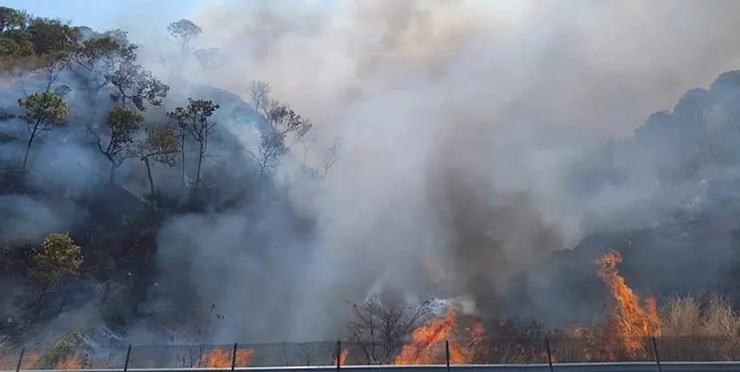 Grave situación en Chilpancingo por incendios forestales: PC municipal