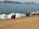Guardavidas de Promotora de Playas Acapulco refuerzan preparación ante puente vacacional y temporada de Semana Santa