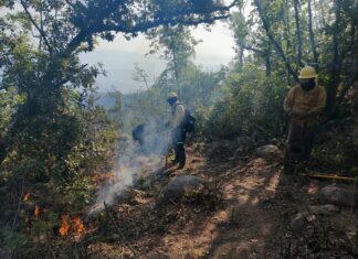 La SGIRPCGRO realiza trabajos de sofocación en nueve incendios forestales en Guerrero