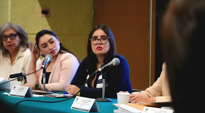 Yoloczin Domínguez encabeza sesión donde se prioriza apoyo a colectivos de desaparecidos