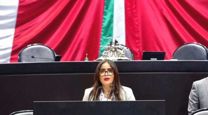 Presenta Yoloczin Domínguez iniciativa para proteger a niñas, niños y adolescentes migrantes