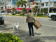 Libera Gobierno de Acapulco espacios de estacionamiento en la Costera Miguel Alemán