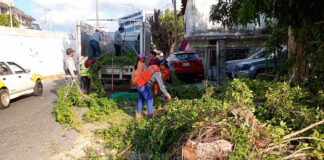Intensifica Gobierno Municipal brigadas de limpieza en colonias de Acapulco