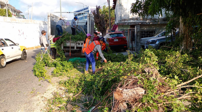 Intensifica Gobierno Municipal brigadas de limpieza en colonias de Acapulco