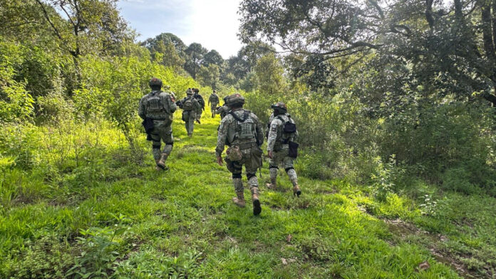 seguridad6