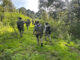 Fortalecen Federación y Estado presencia de seguridad en comunidades de la Sierra
