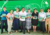 Autotur renueva su flotilla y fortalece la conectividad turística de Guerrero