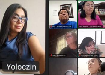 Yoloczin Domínguez impulsa avances en derechos humanos desde el Congreso